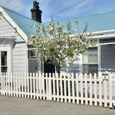 In Dunedin'S Heart, Full House, Full Sun, Full Chill, Why Stay At A Hotel When You Can Afford An Entire House Buitenkant foto