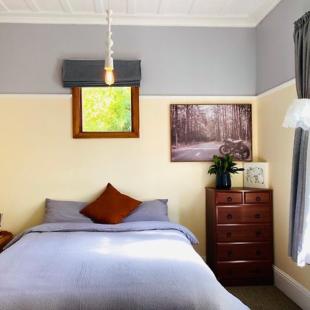 In Dunedin'S Heart, Full House, Full Sun, Full Chill, Why Stay At A Hotel When You Can Afford An Entire House Buitenkant foto