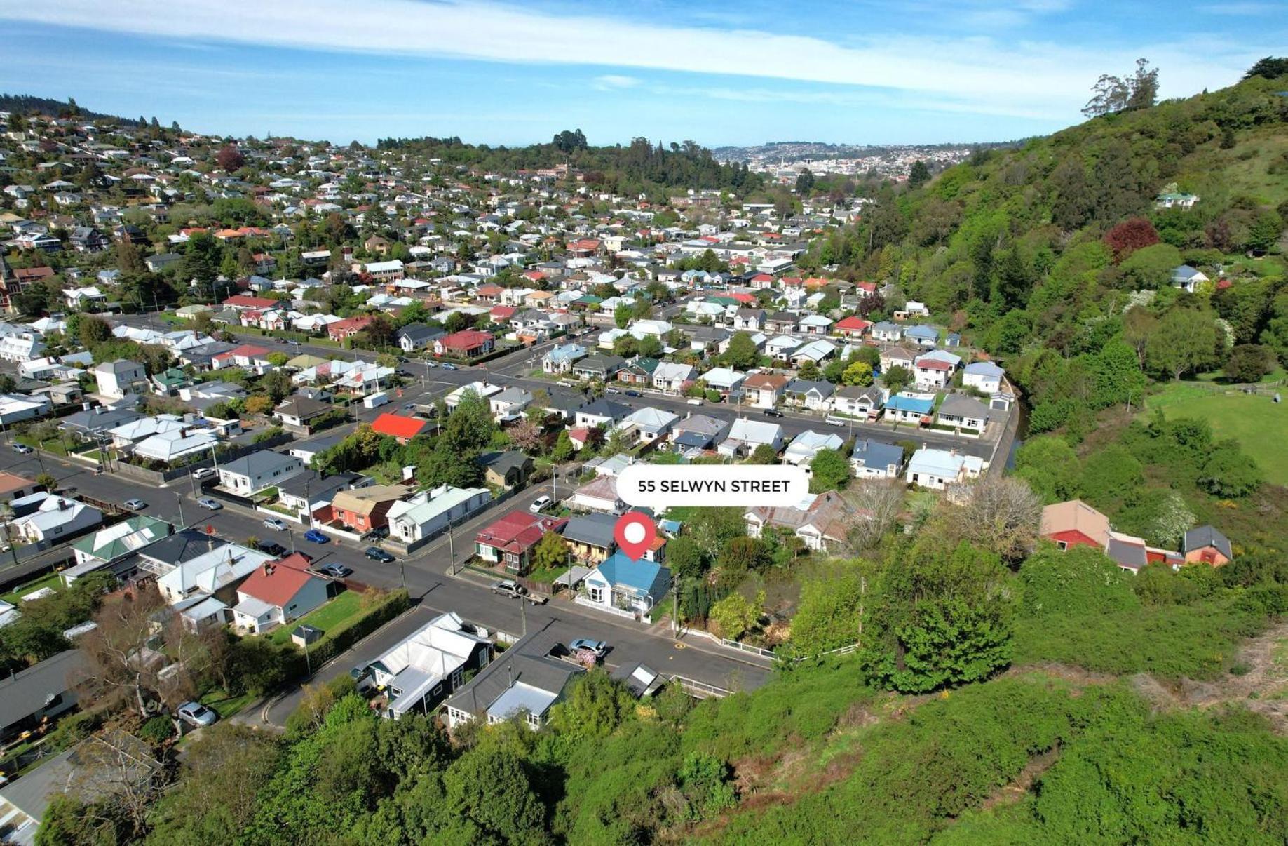 In Dunedin'S Heart, Full House, Full Sun, Full Chill, Why Stay At A Hotel When You Can Afford An Entire House Buitenkant foto