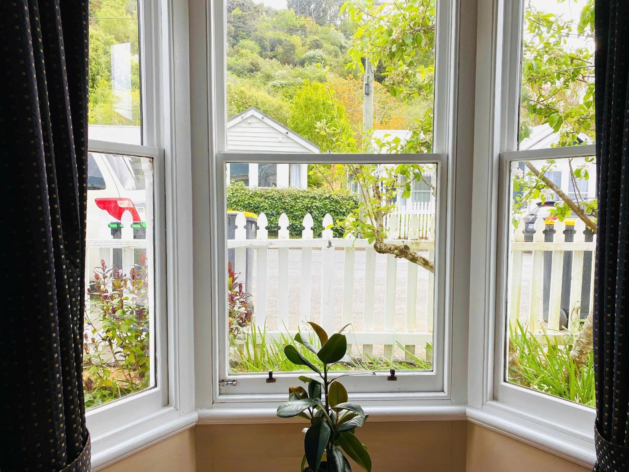 In Dunedin'S Heart, Full House, Full Sun, Full Chill, Why Stay At A Hotel When You Can Afford An Entire House Buitenkant foto