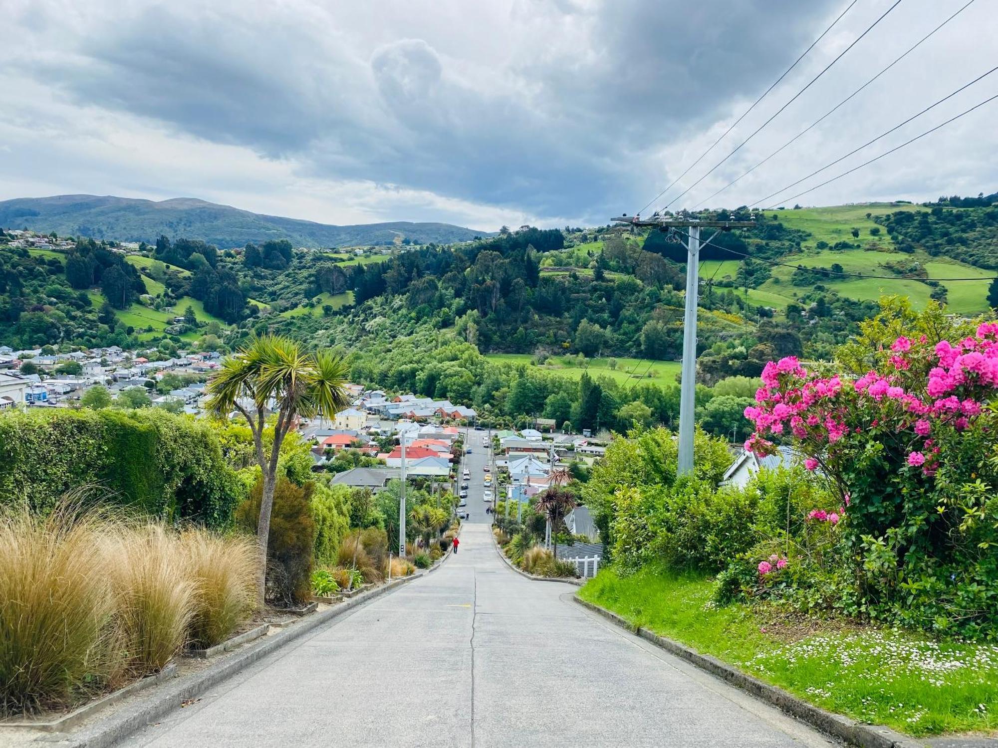 In Dunedin'S Heart, Full House, Full Sun, Full Chill, Why Stay At A Hotel When You Can Afford An Entire House Buitenkant foto